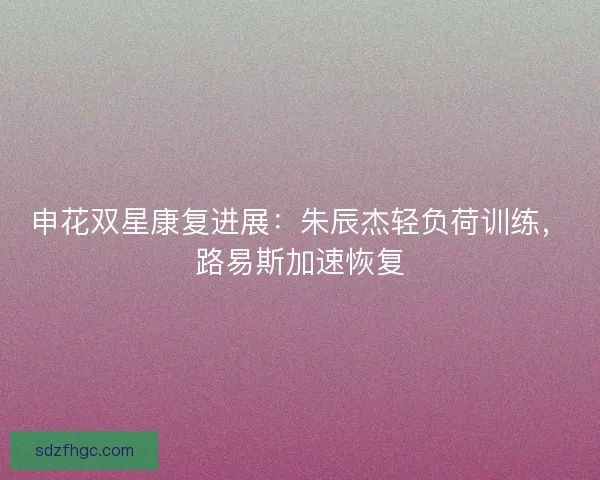 申花双星康复进展：朱辰杰轻负荷训练，路易斯加速恢复